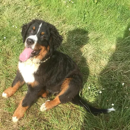 Domaine Du Val De Soux 3*