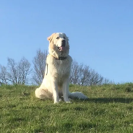 Domaine Du Val De Soux 3* Montgaillard-de-Salies