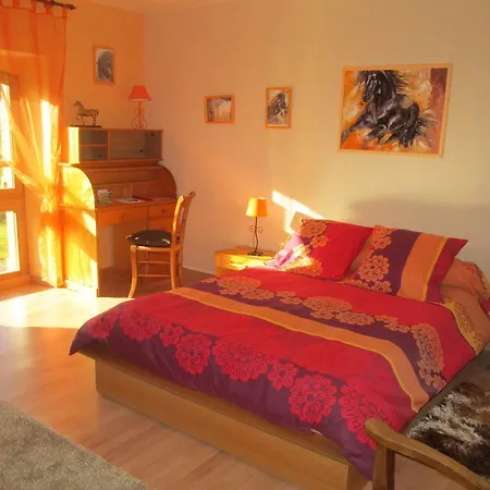 Domaine Du Val De Soux Bed & Breakfast Montgaillard-de-Salies